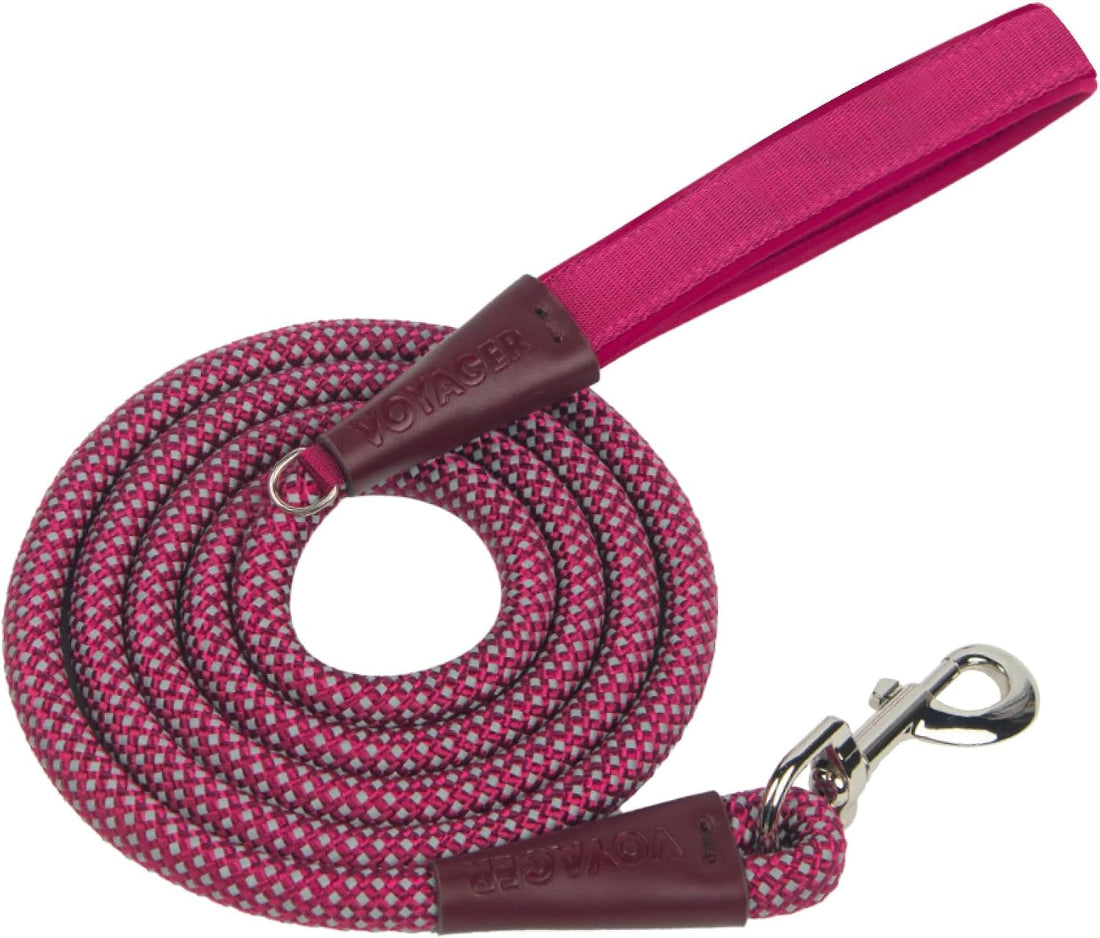 Best Pet Supplies Voyager Dog Collar Safety Clip with Dual Clasps