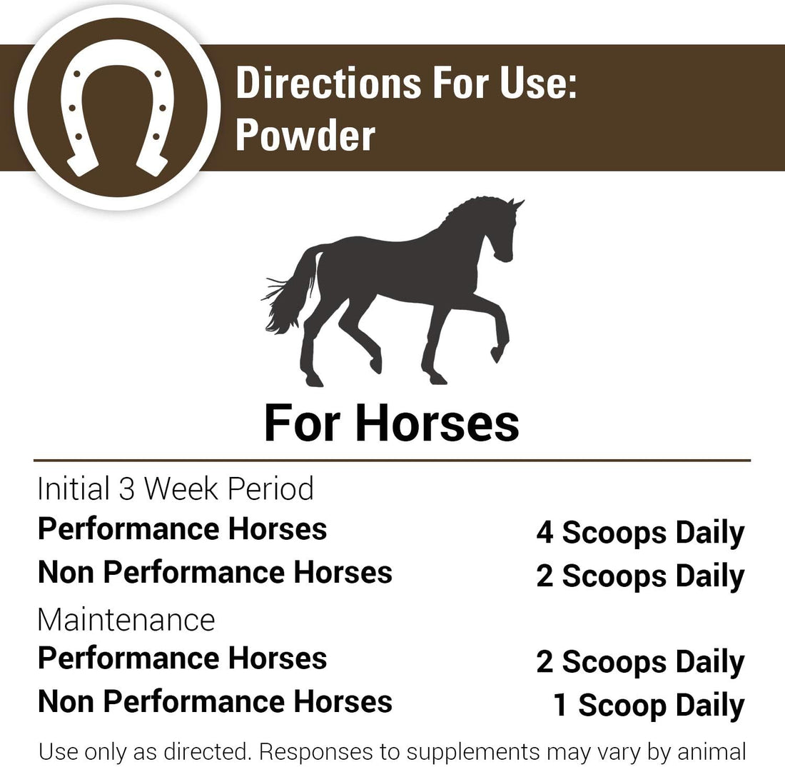 Vet Classics ArthriEase-Gold Joint Support for Horses - 2 lb, 4 Oz