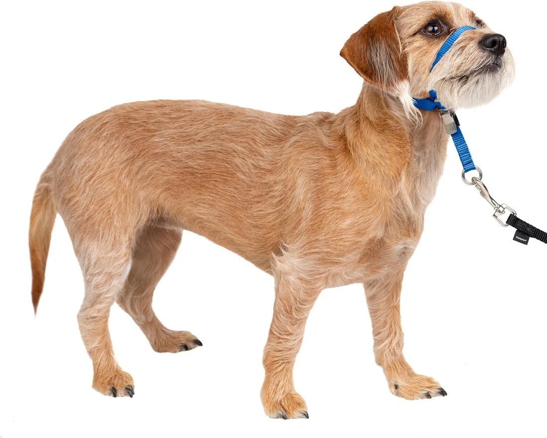 PetSafe Gentle Leader No Pull Dog Headcollar