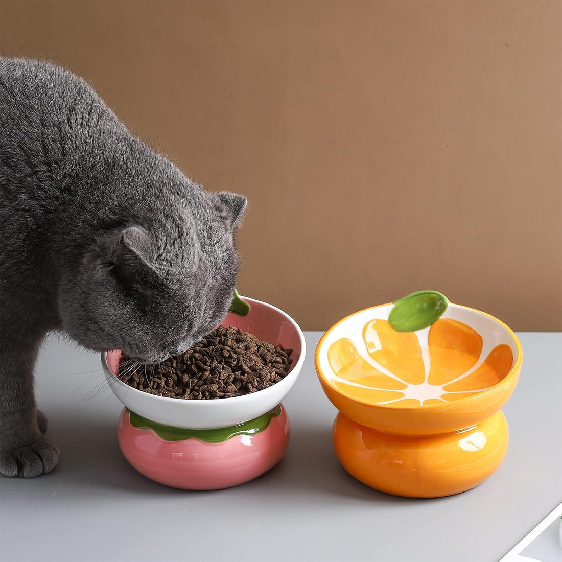 Yeexoxow Ceramic Raised Cat Bowl