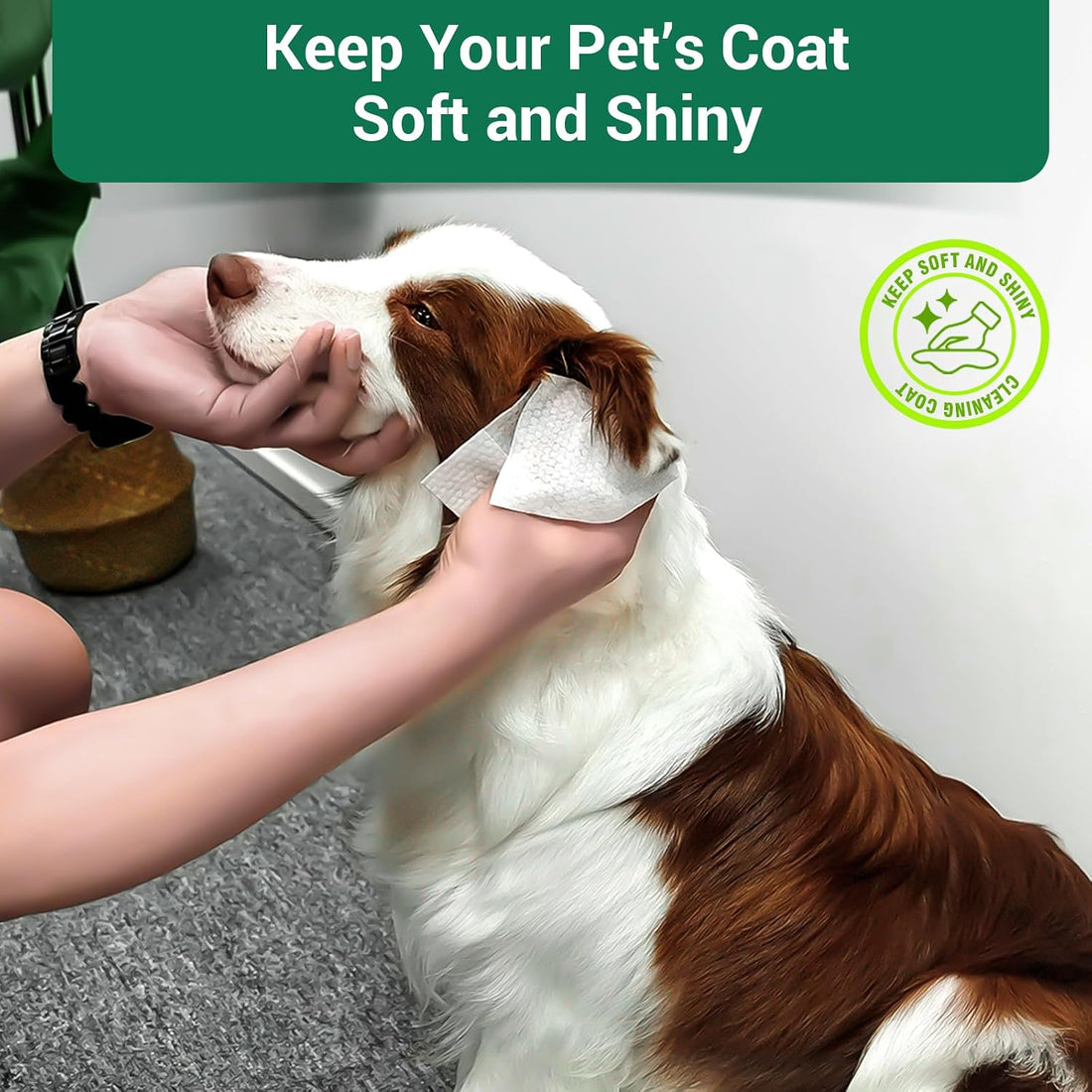 400 Unscented Dog Wipes for Paws and Butt Large Thick Puppy Wipes