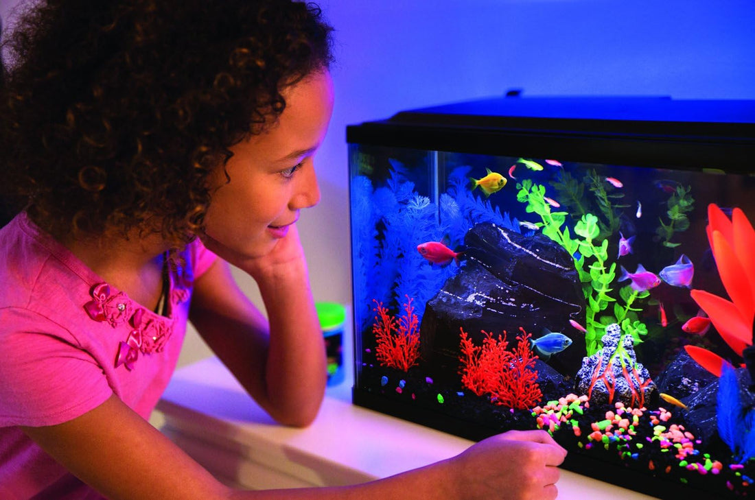 GloFish 20 Gallon Complete Fish Tank Kit