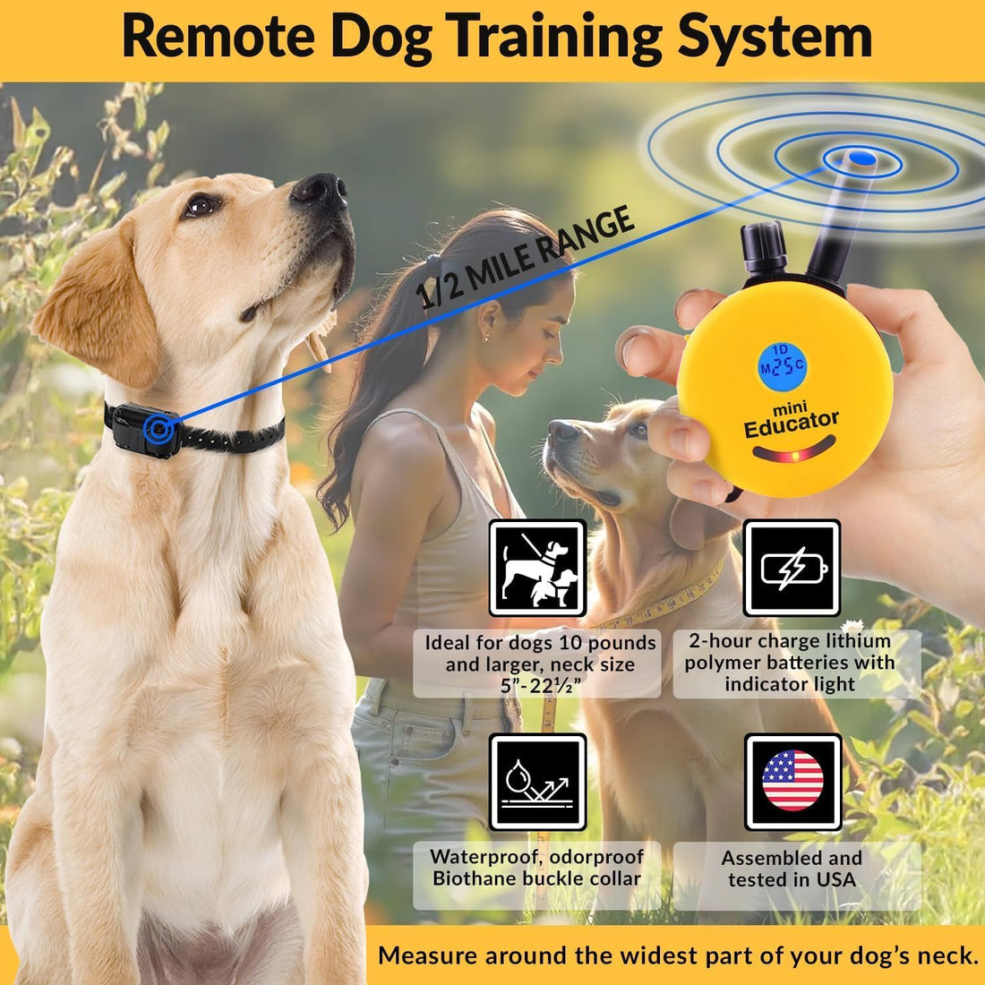 E-Collar Mini Educator ET-300 Remote Dog Training Collar
