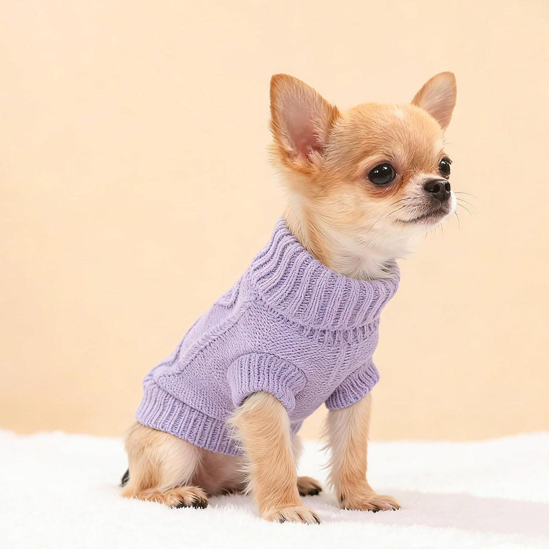 2 Pieces Dog Sweater for Small Dogs Chihuahua Clothes Spring Winter