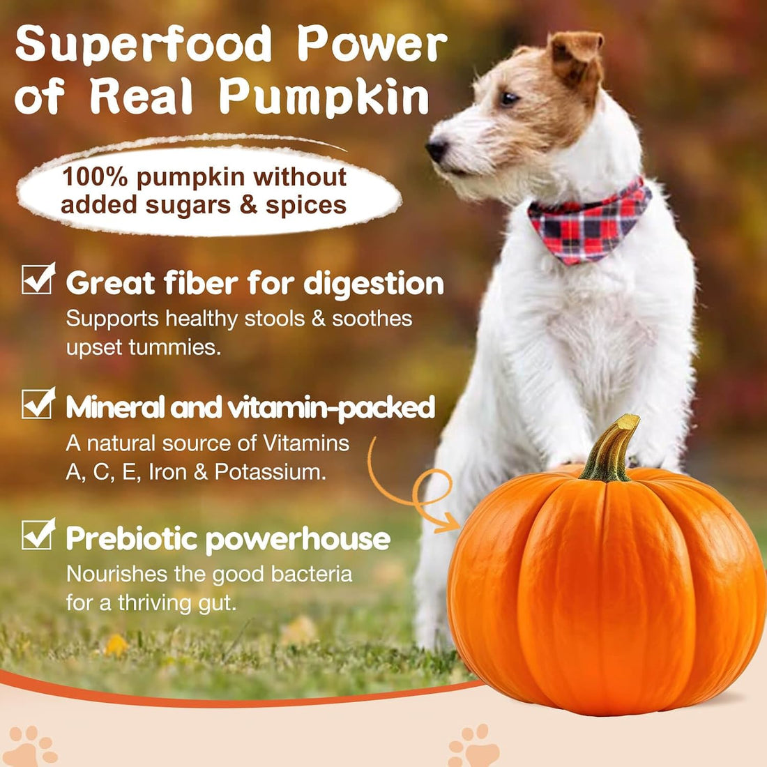 ZEBORA Probiotics for Dogs, Digestive & Itch Relief, 60 Chews