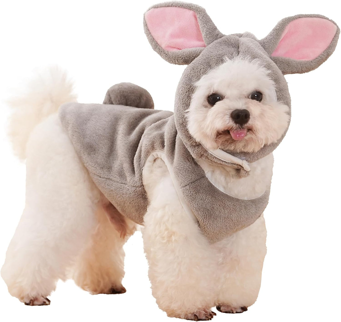 Pet Costume for Small Dogs Cats Halloween Hoodies Puppy Coat