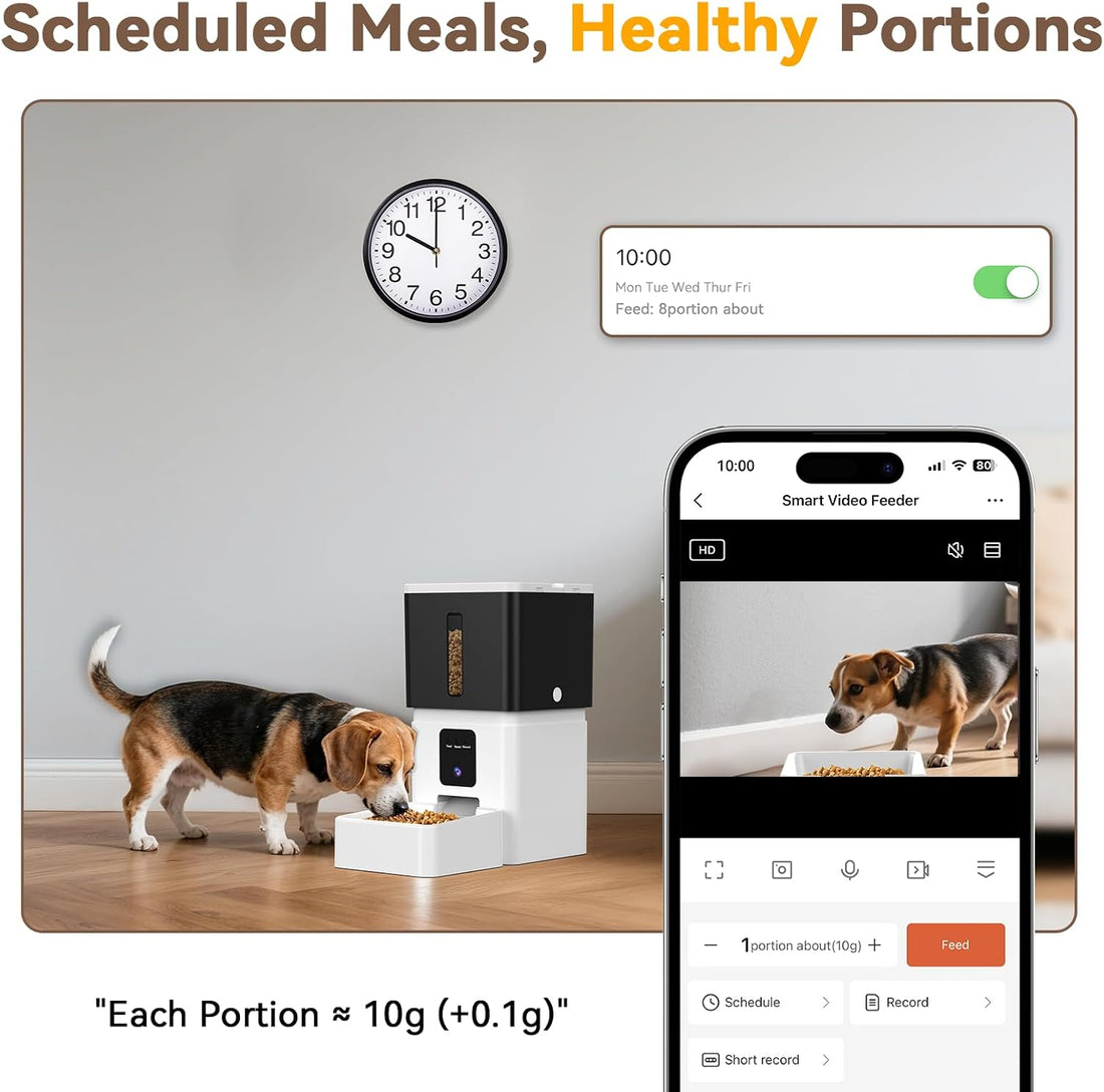 UTCG Automatic Dog Feeder with Camera: 8L/33 Cups 5G WiFi