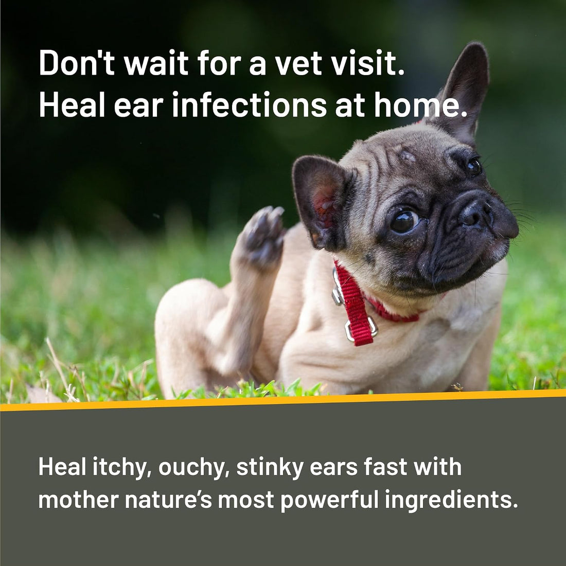 Absorbine Silver Honey Rapid Ear Care Vet Strength Concentrated Doses
