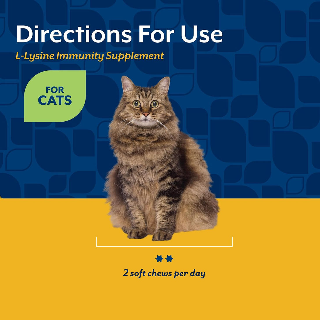 NaturVet L-Lysine Immune Support Plus Antioxidants Cat Supplement