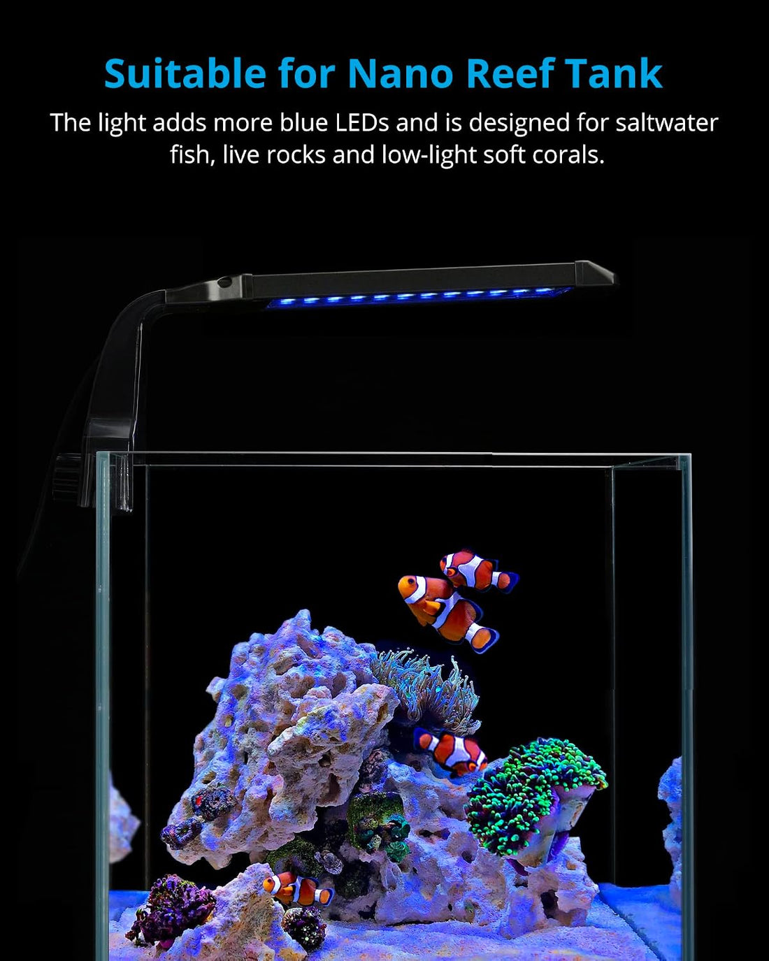 NICREW Clip-on Marine Aquarium Light for Coral Reef Tank