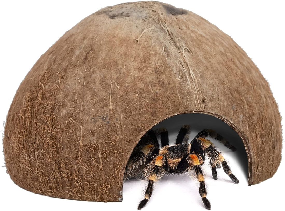 2 Pack Natural Coconut Reptile Hideouts, Lizard