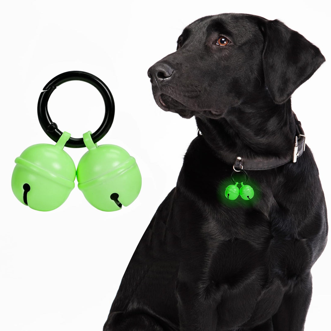 Whimsii Bells for Dog Collar, Glow Bell for Medium to Large Dogs