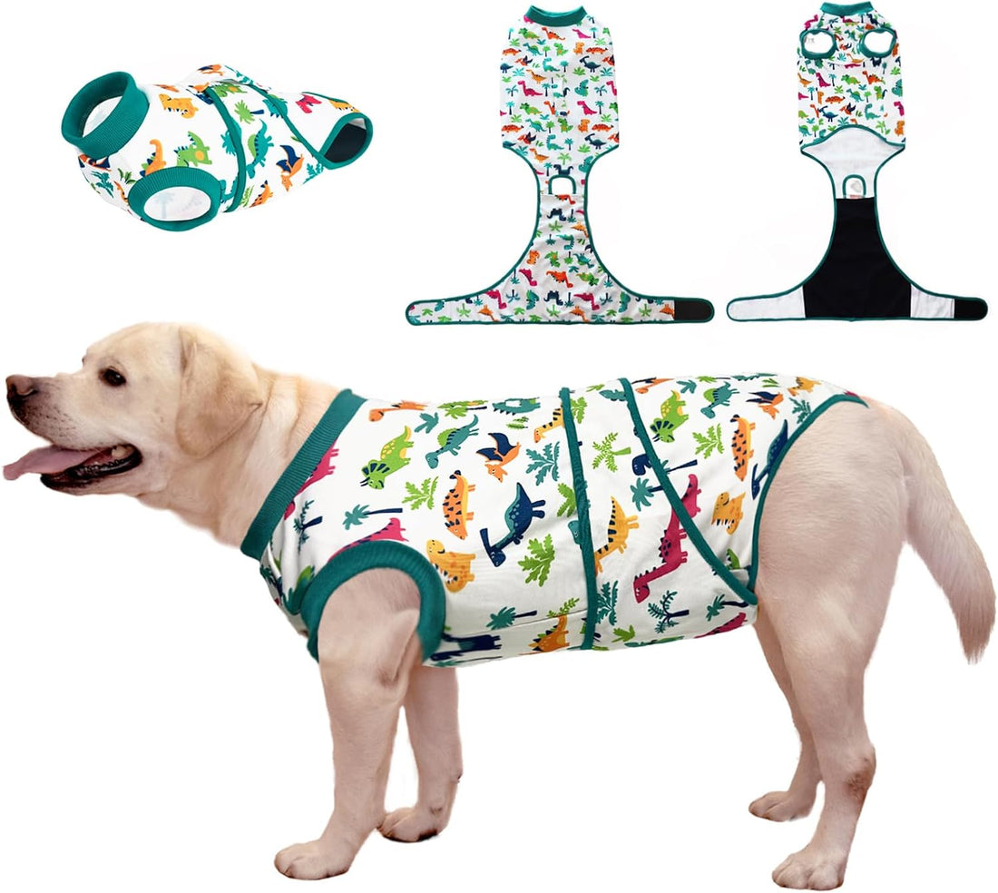 Recovery Suit for Dogs After Surgery