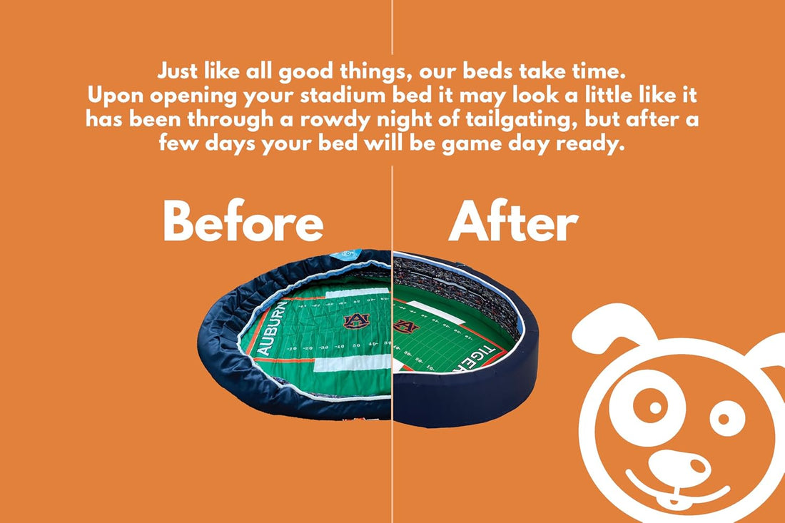 StadiumSpot Officially Licensed NCAA Premium Oval Dog Bed
