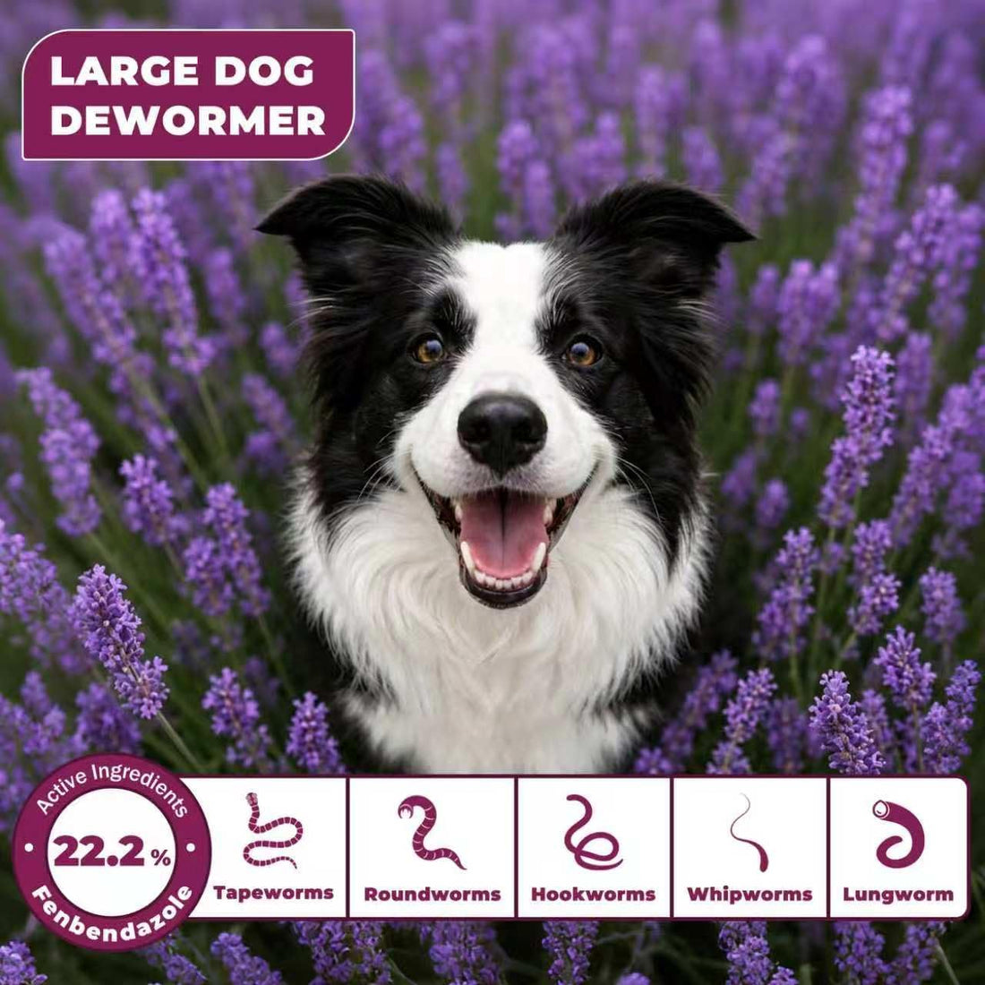 Fenbendazole for Dogs 22.2%, Large Dog Dewormer Powder