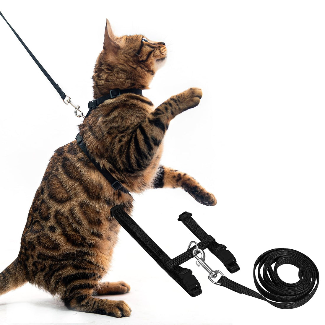 PUPTECK Adjustable Cat Harness and Leash Set Escape Proof Kitten