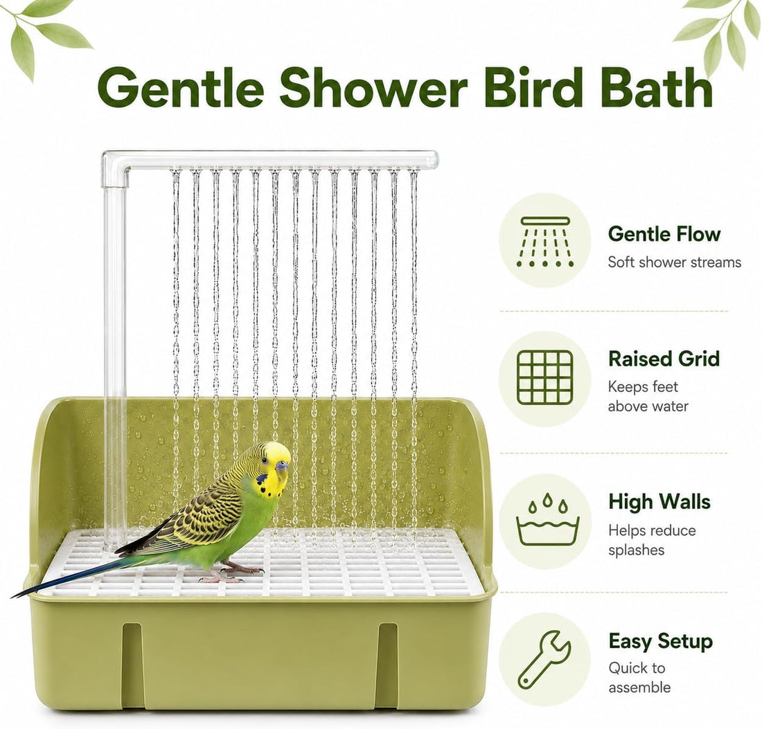 Automatic Bird Bath with Pump