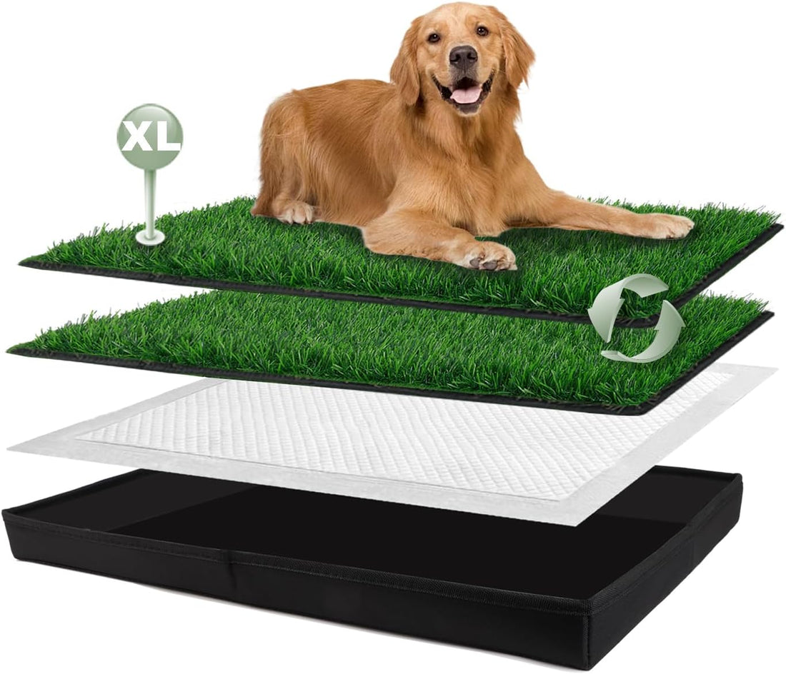 HQ4US 4LEGS Dog Grass Pad with Dog Litter Box