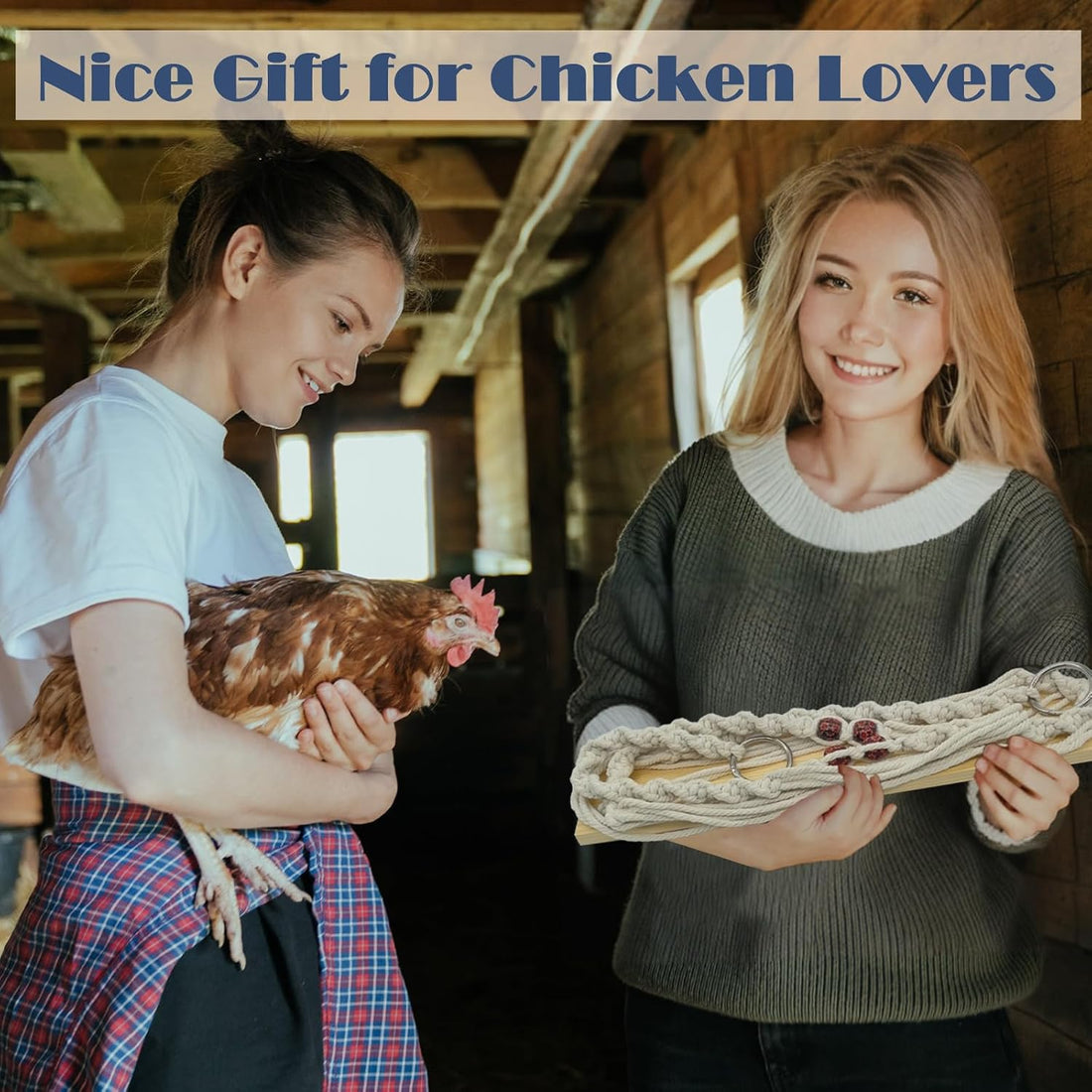 HahaMagic Chicken Swing Toy for Large Chicken Coop
