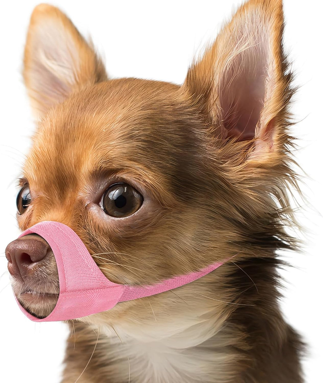 Mayerzon Fabric Dog Muzzle for Short Snout Small Dogs Chihuahuas