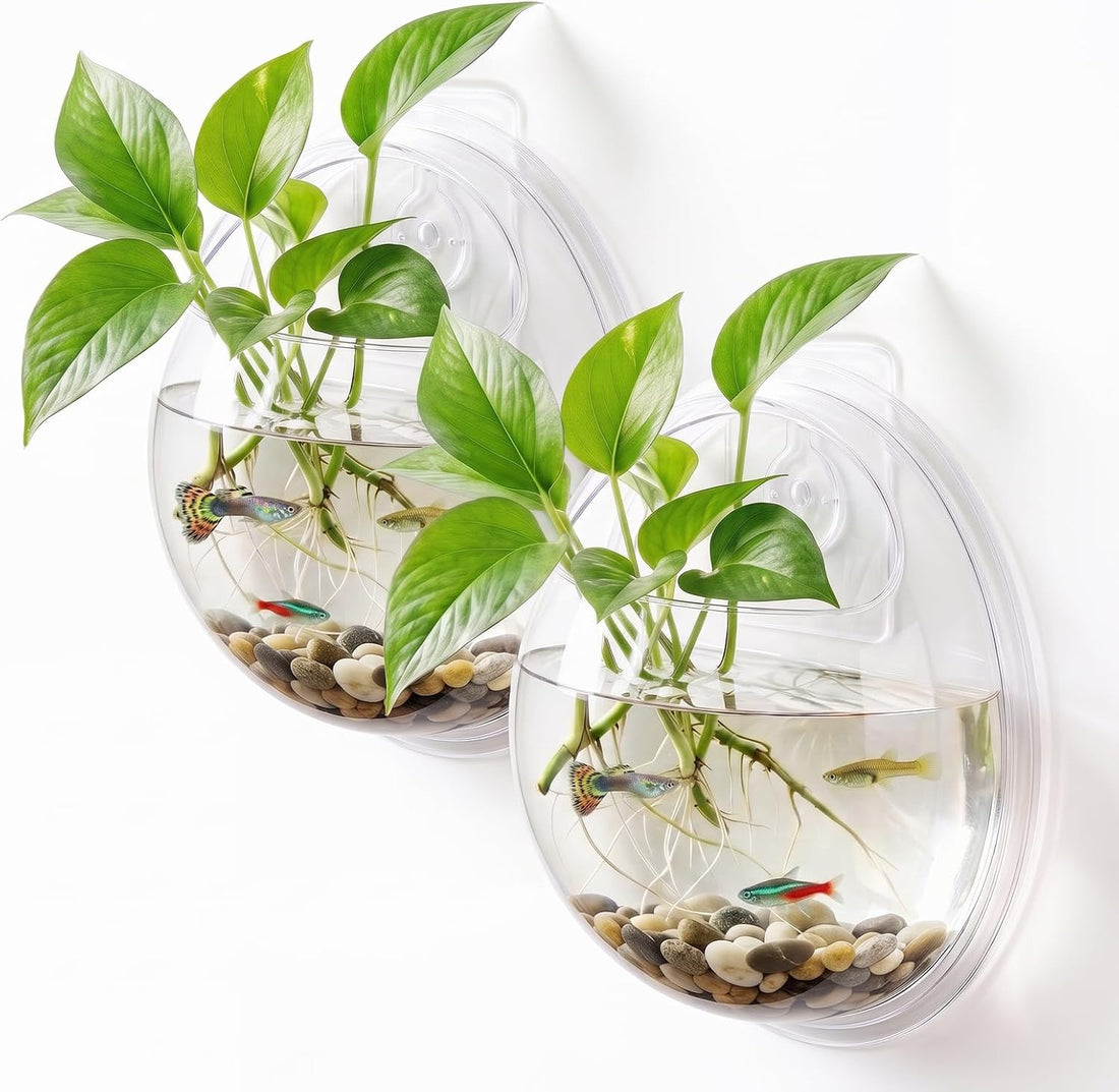 1 Pack Acrylic Wall Hanging Fish Bowl 9 Inch Fish Tank Planter