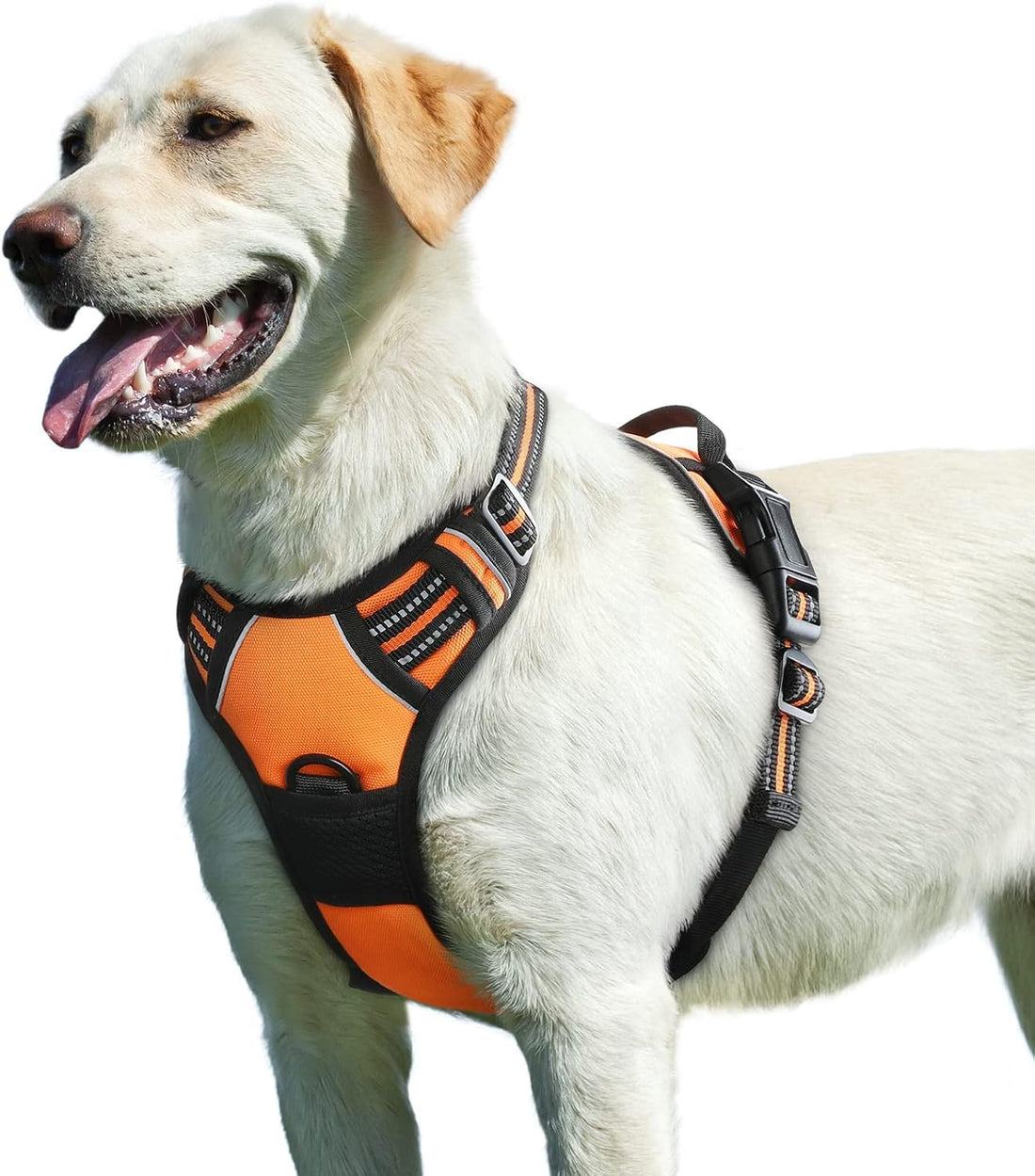 Eagloo Dog Harness for Large Dogs, No Pull Pet Vest with 2 Leash Clips