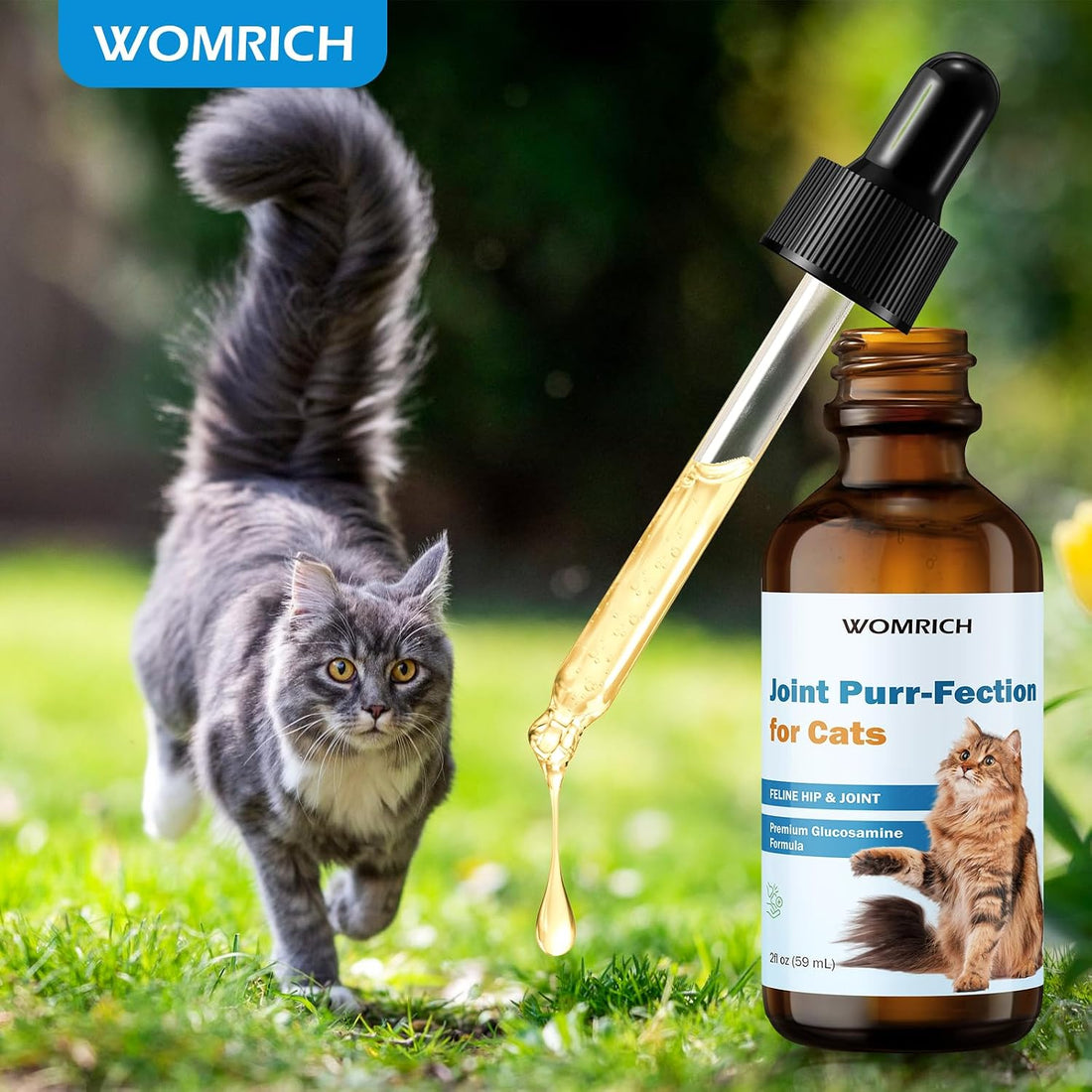 Joint Supplement for Cats - Glucosamine & Chondroitin Drops