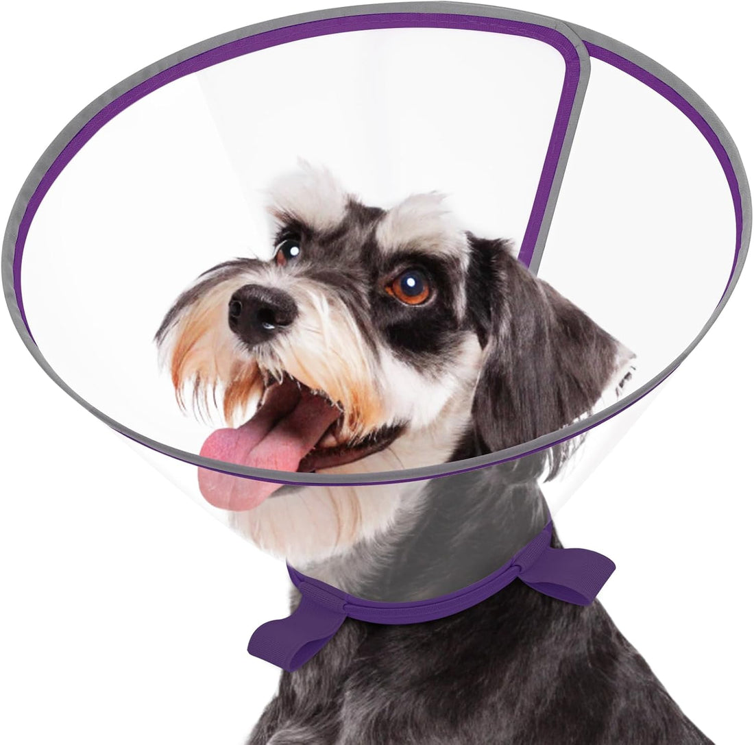 Clear Dog Cone for Small Dogs Chihuahua, E-Collar After Surgery