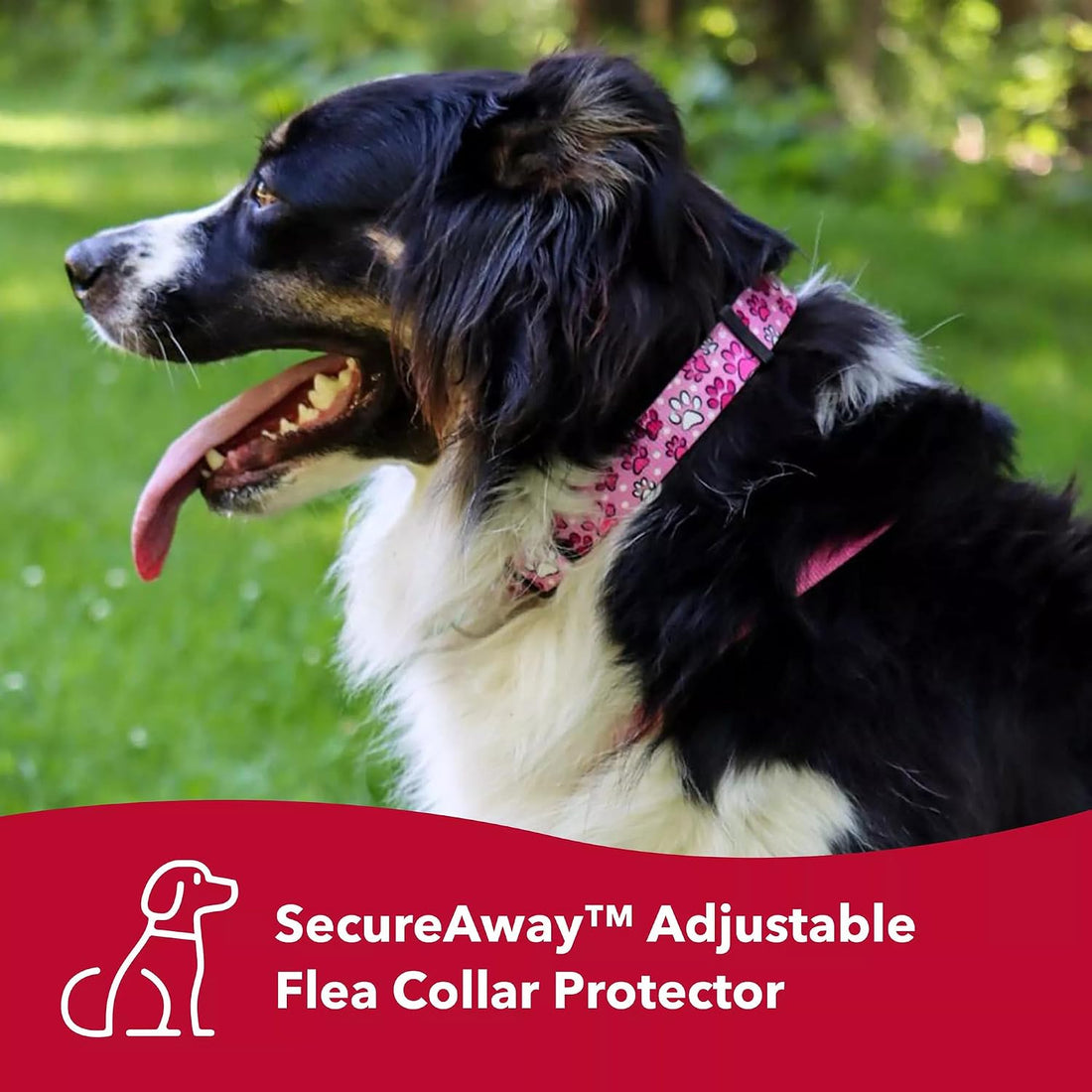Coastal Pet SecureAway Collar Protector for Flea Collars