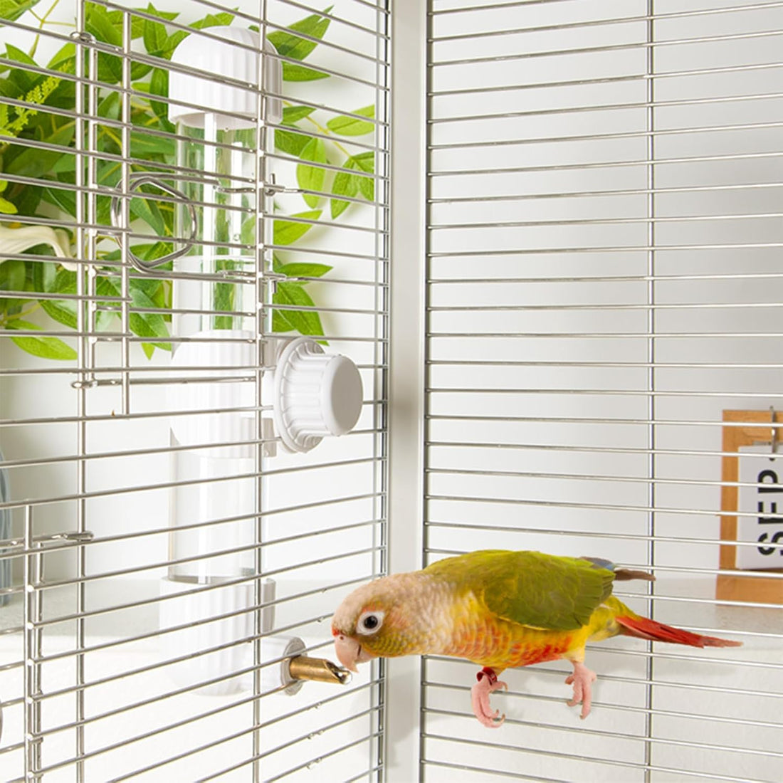 9.4 Fl Oz No Mess Bird Water Dispenser