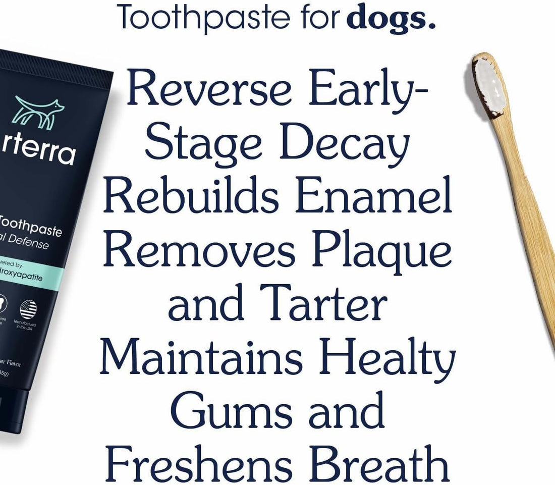 Remineralizing Dog Toothpaste – Vet-Grade, with Nano-Hydroxyapatite