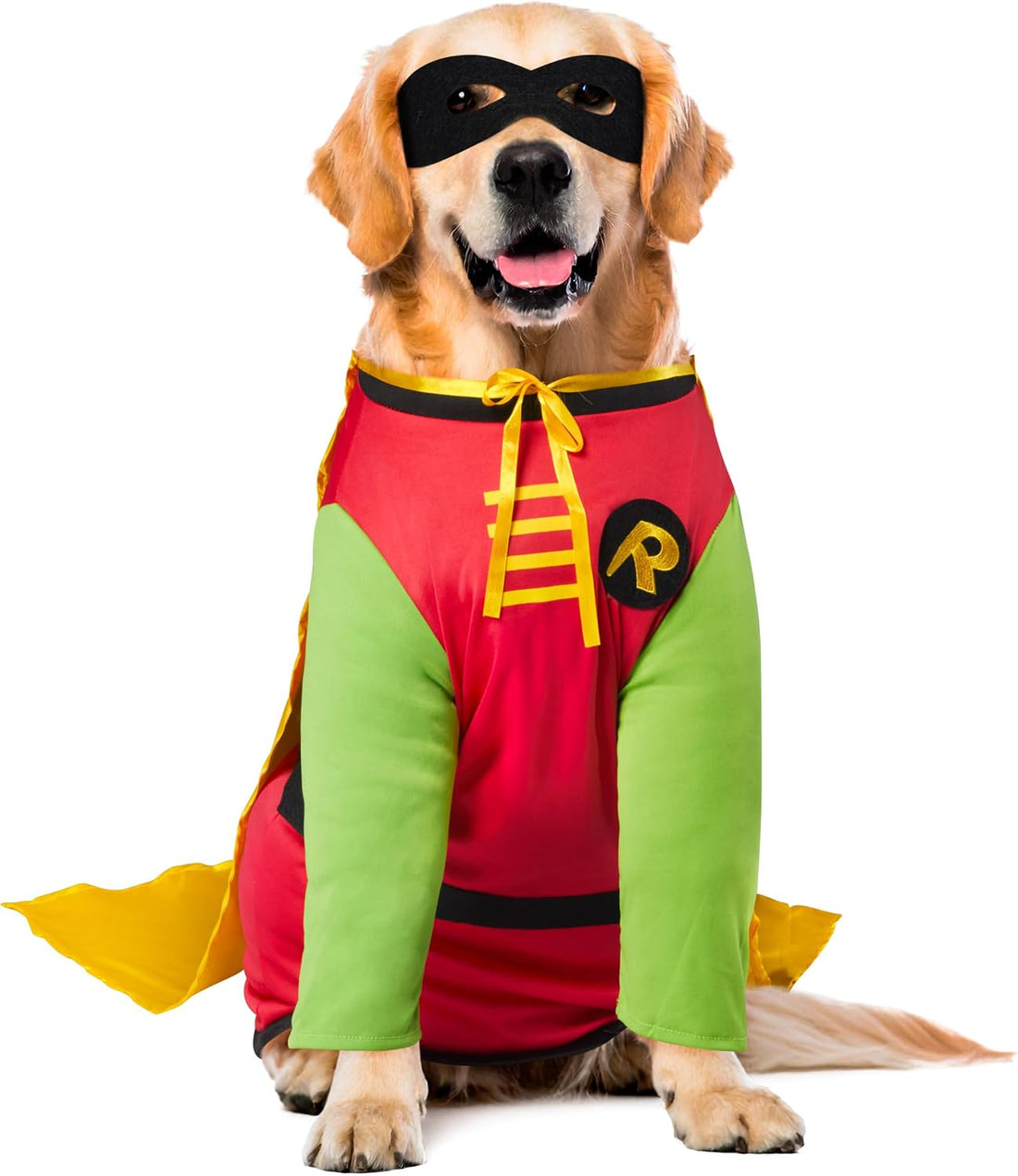 Rubies Teen Titans: Robin Pet Costume for Dogs or Cats