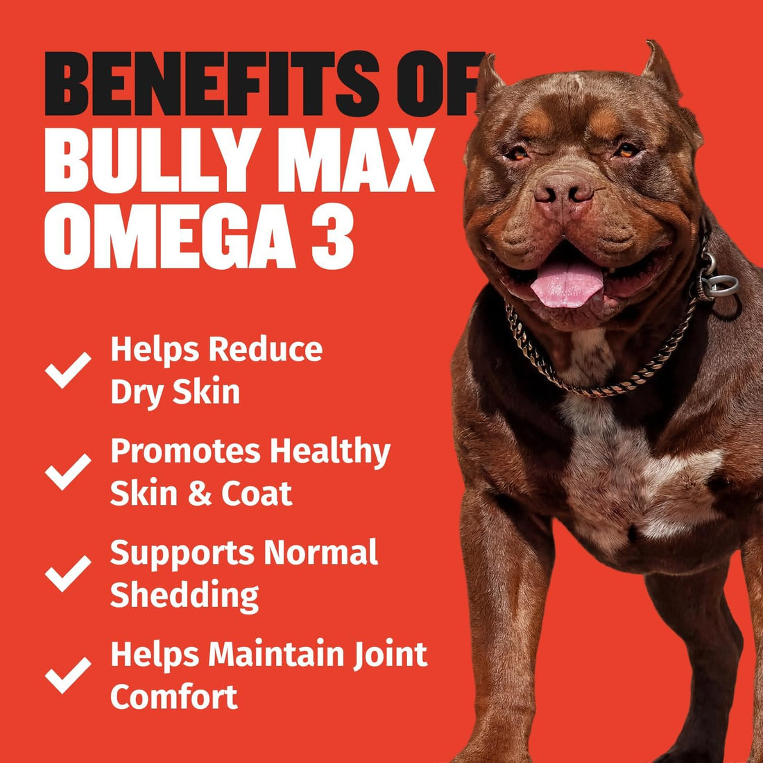 Bully Max Omega-3 Salmon Oil for Dogs + 2-in-1 Muscle Gain Power Tabs