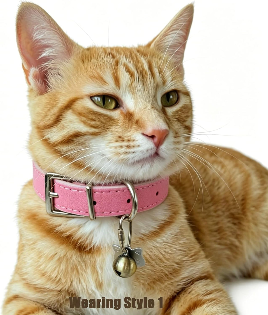 Puppy/Cat Bells for Pet Tracking