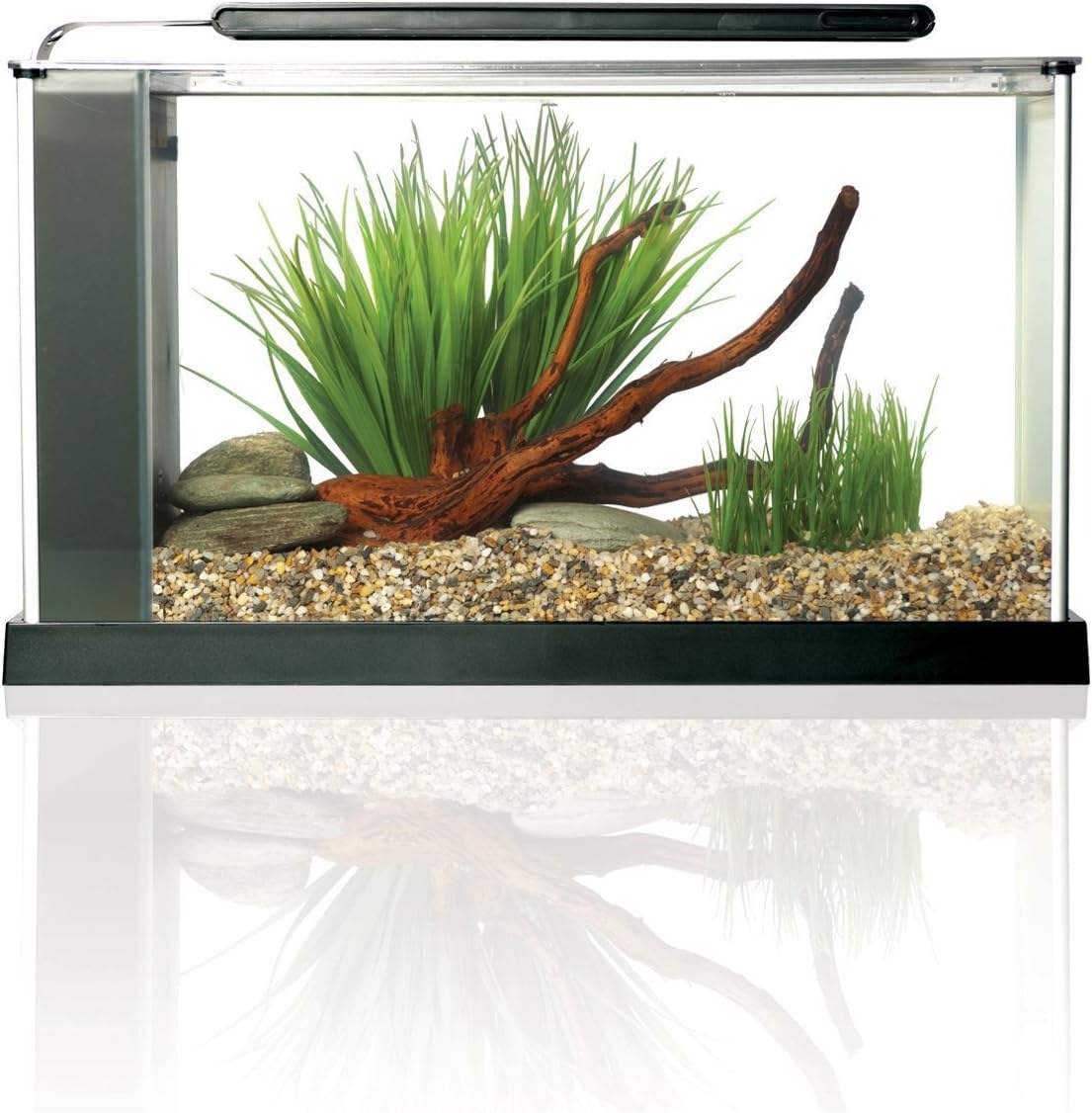 Fluval SPEC Aquarium Kit, 5-Gallon