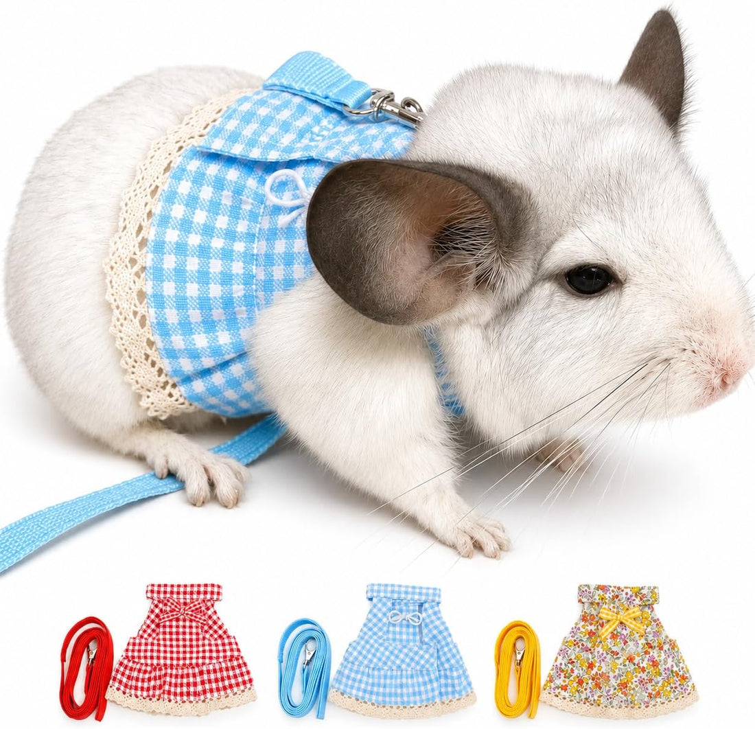 Guinea Pig Harness and Leash Set
