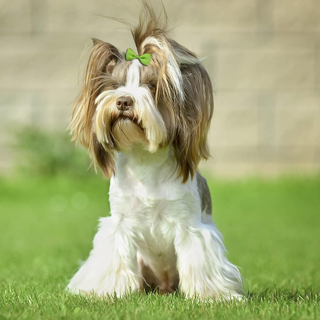Clipband Puppy Dogs Hair Barrettes Bows with Rubber Bands,Hair