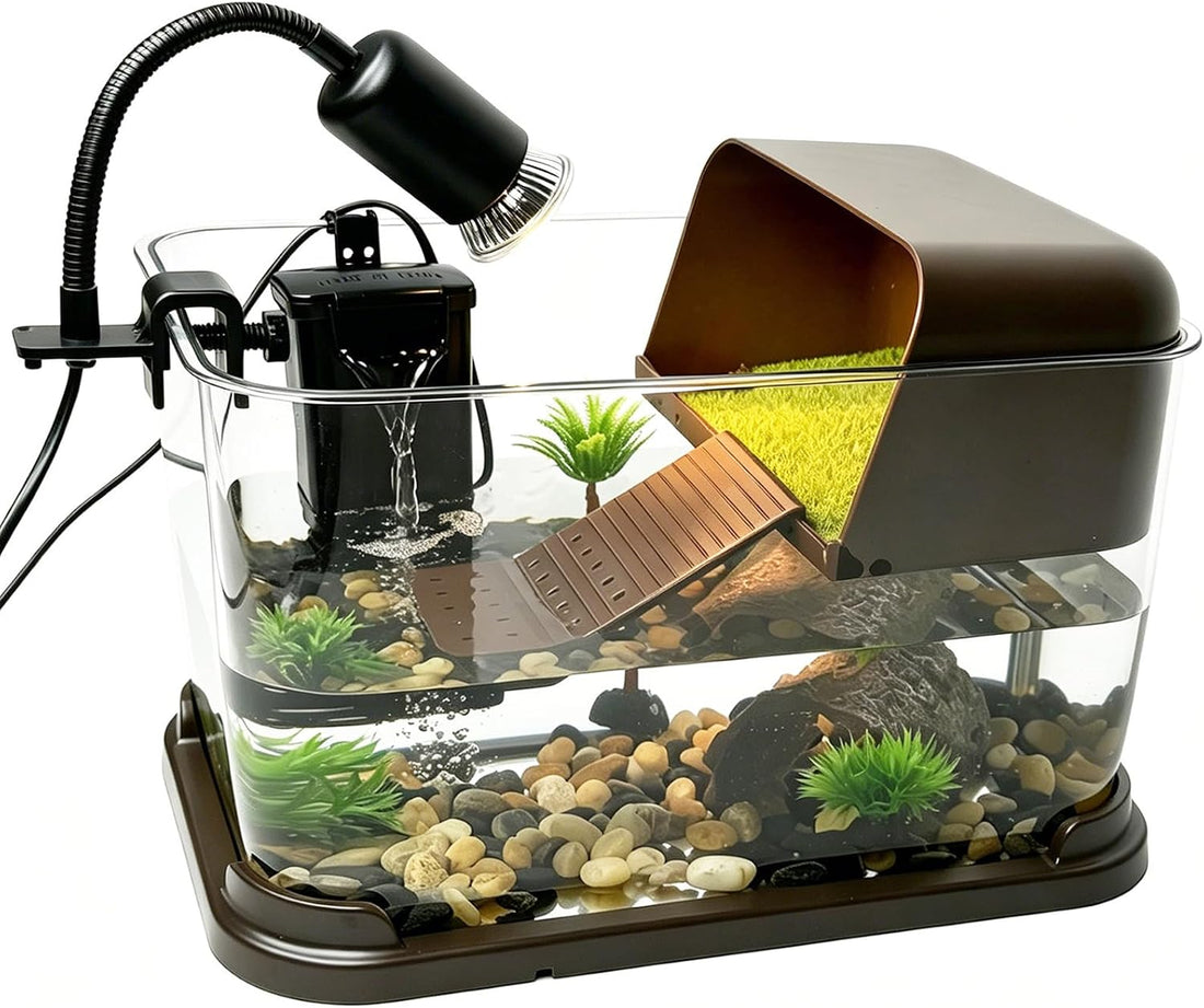 Turtle Tank Starter Kit, All-in-One PC Aquarium with Filter