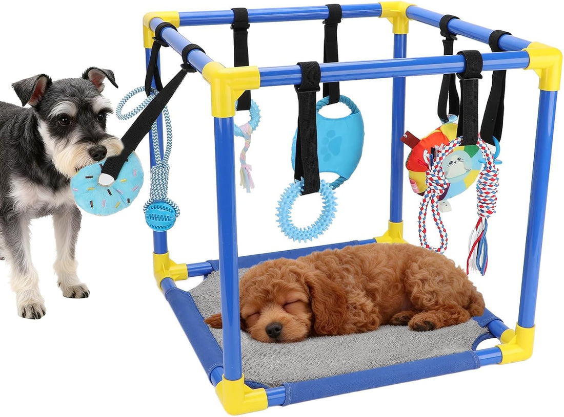 Dog Activity Stand with 8 Hanging Toys & Reversible Mat