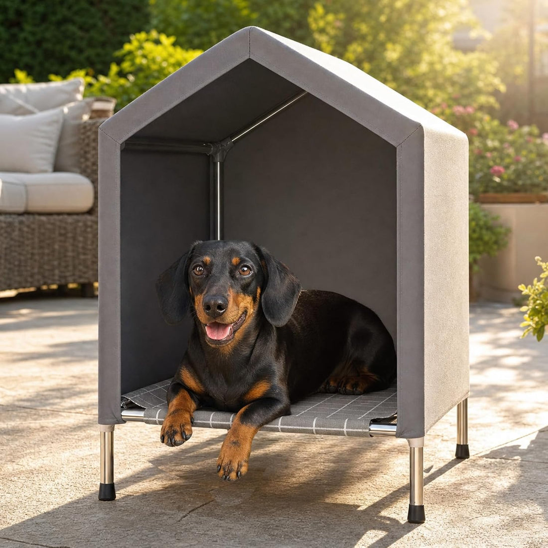Elevated Dog House for Small Dogs