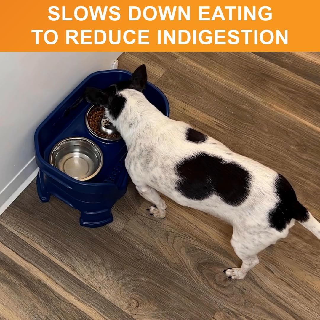 Neater Pet Brands Stainless Steel Slow Feed Dog Bowl