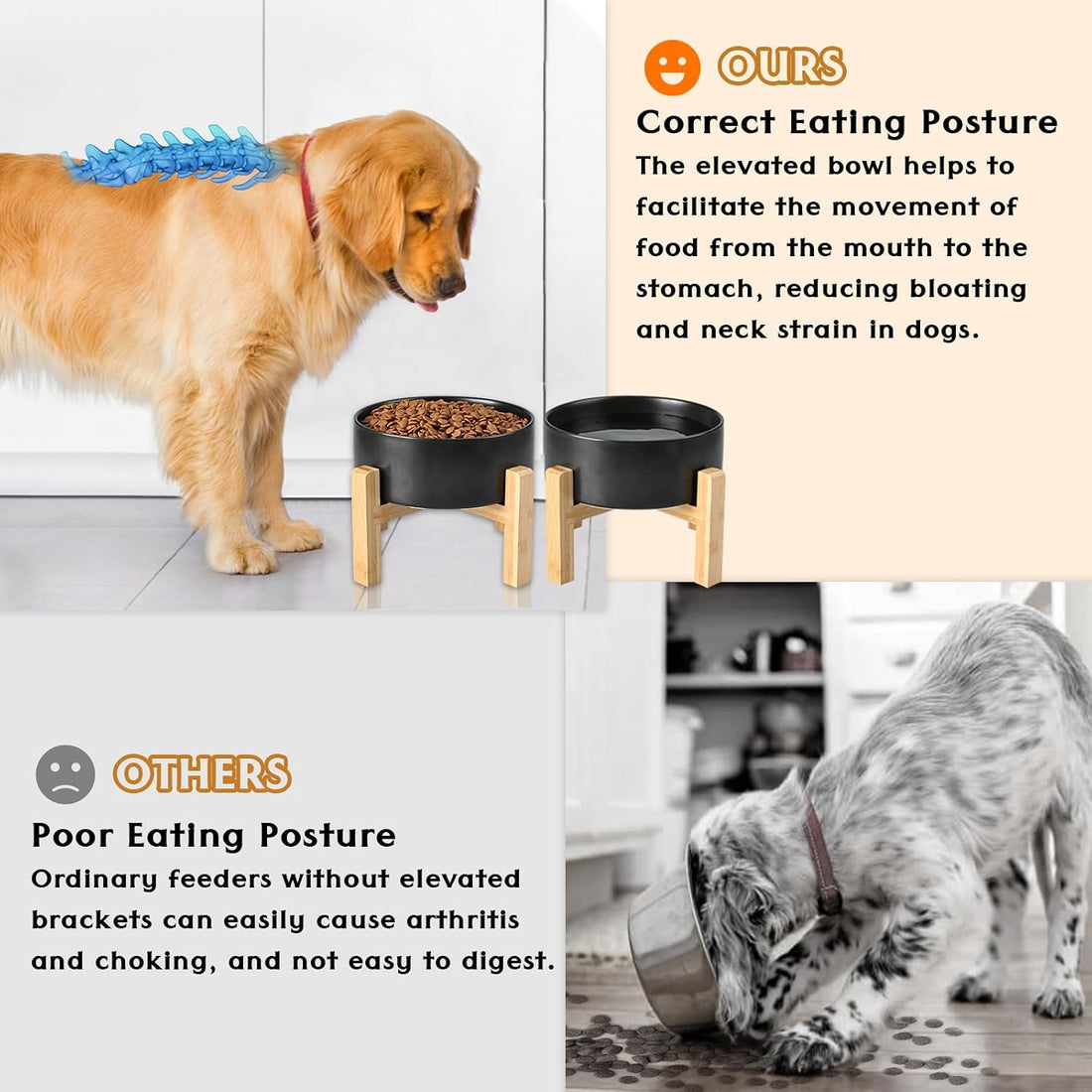 SPUNKYJUNKY Ceramic Elevated Dog Bowls 2 Pack