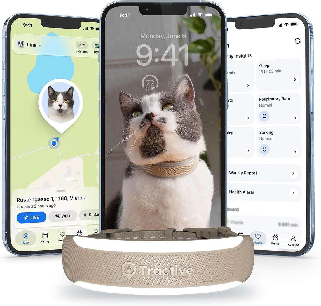 Tractive Smart Cat GPS Tracker Collar
