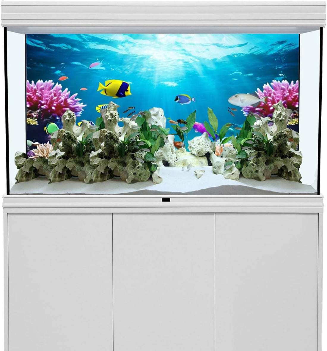48x18 in Underwater Aquarium Backdrop Tropical Coral Fish Tank