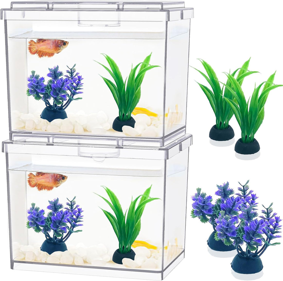 MoonOrange Mini Betta Fish Tank Kit with LED Light Base