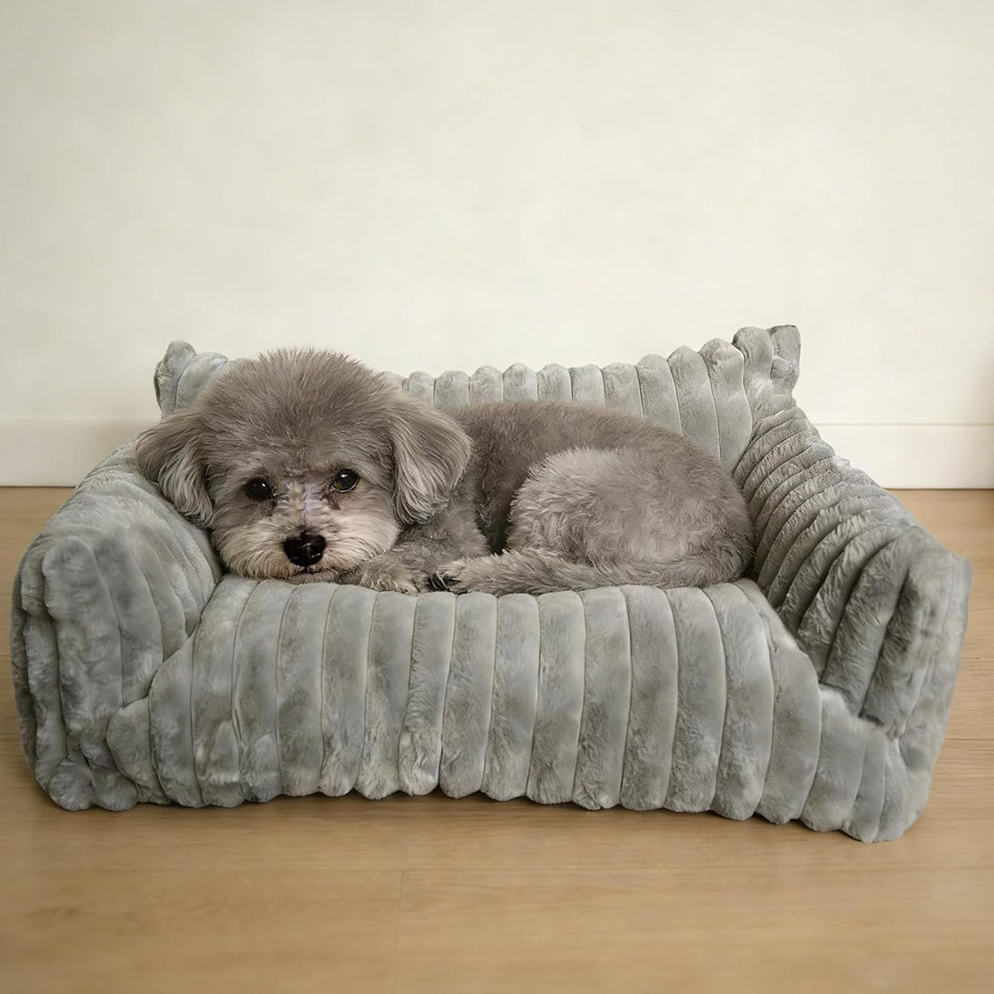 Cat Couch for Pets - Cute Cat Beds for Indoor Cats with Removable