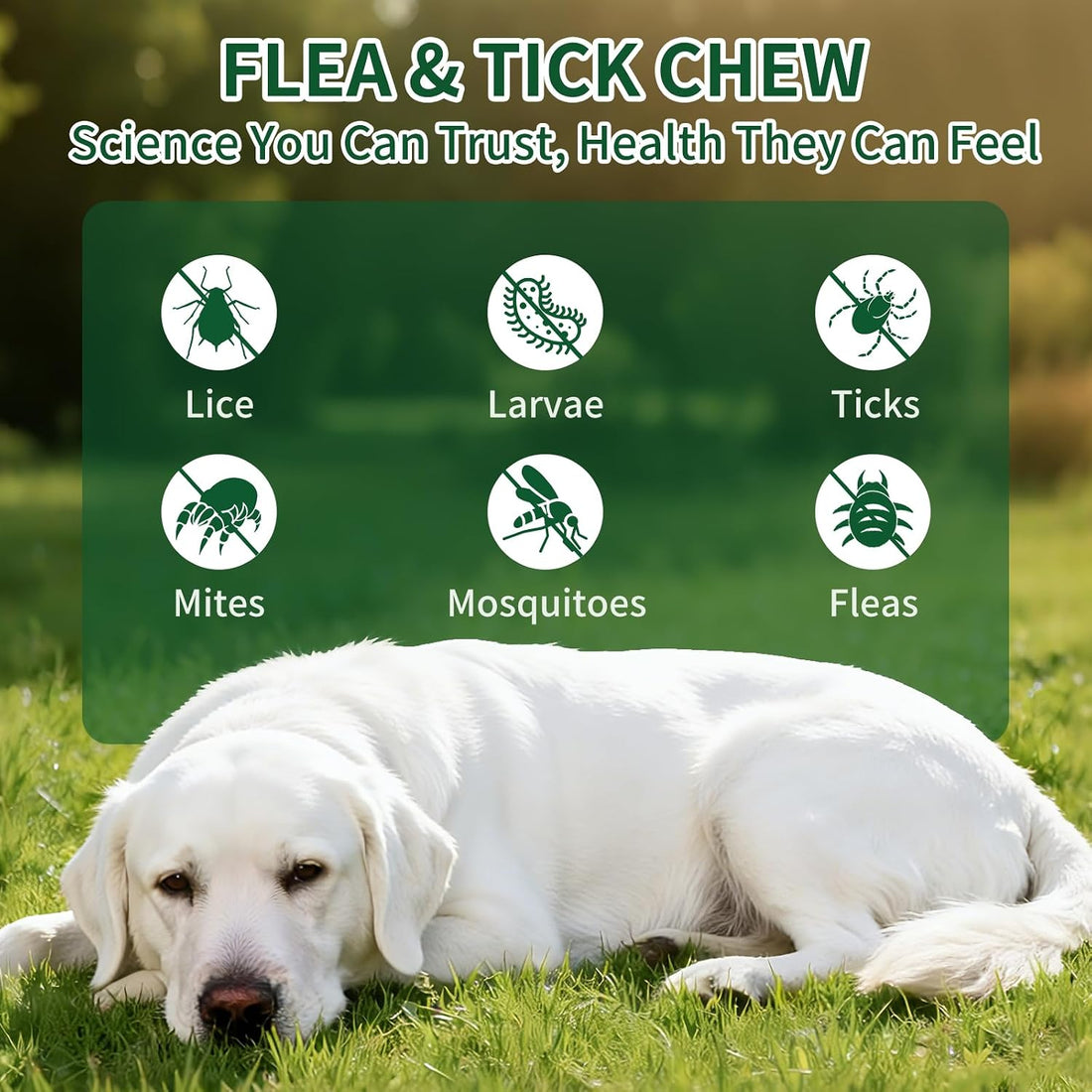 Flea and Tick Chewable for Dogs 200ct - Dog Flea and Tick Supports