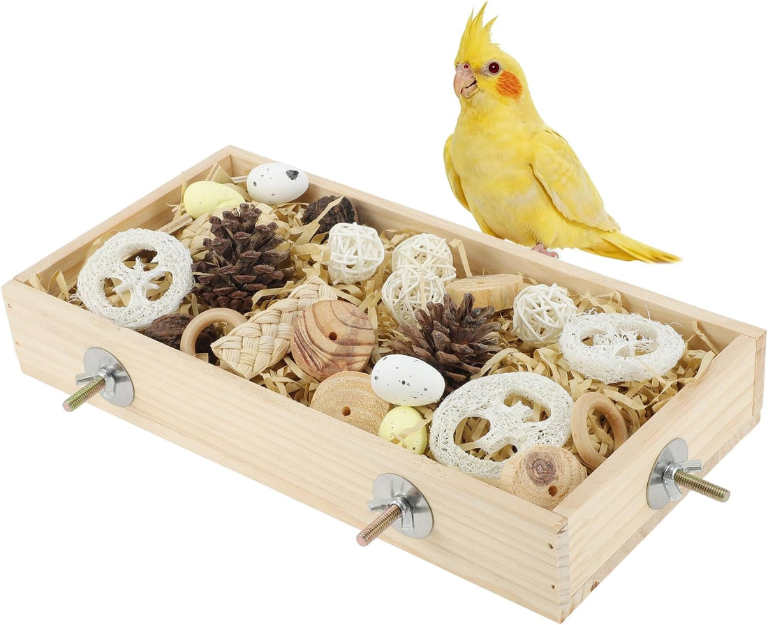 Bird Foraging Toys Box, Wooden Foraging for Bird, Wood Color M