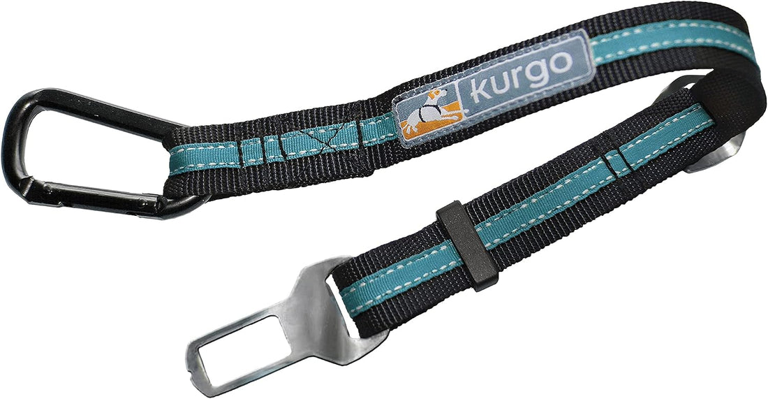 Kurgo Direct to Latch Swivel Tether, Charcoal