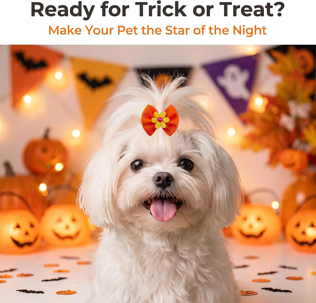 Mruq 80pcs Halloween Small Dog Hiar Bows with Rubber Bands
